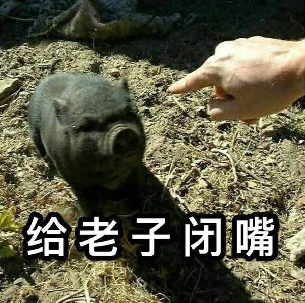 用手指着你，快给老子闭嘴