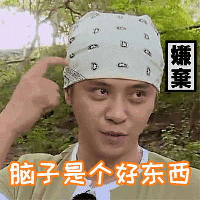 脑子是个好东西，可惜你没有