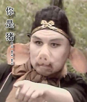 我说你就是一头猪