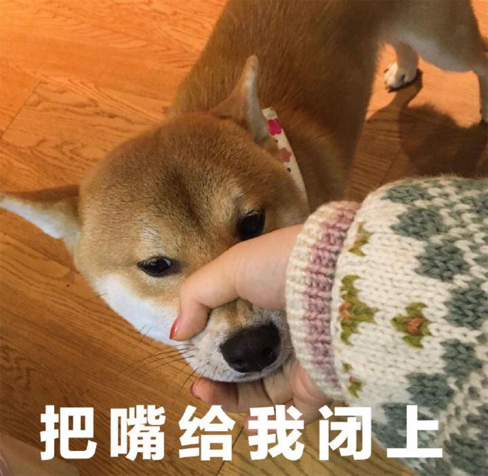 赶紧把你的狗嘴给我闭上
