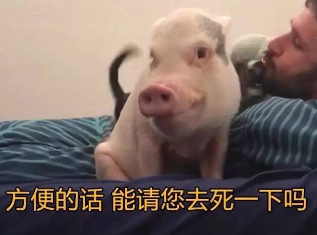 如果方便的话，可以请你去死一下吗
