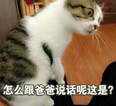 你怎么跟爸爸说话的呢