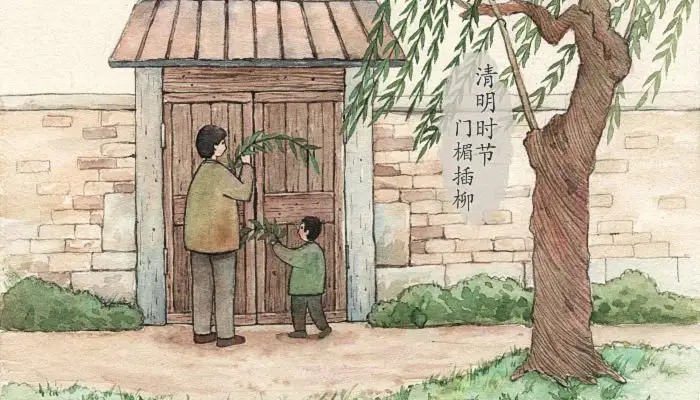 清明时节，门楣插柳