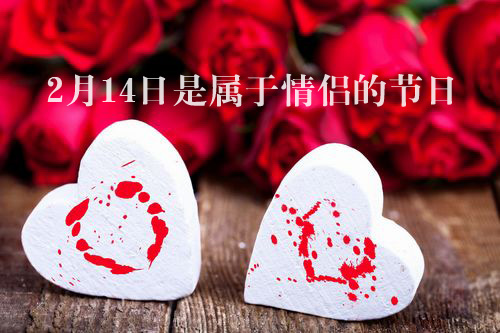 2月14日是属于情侣们的节日