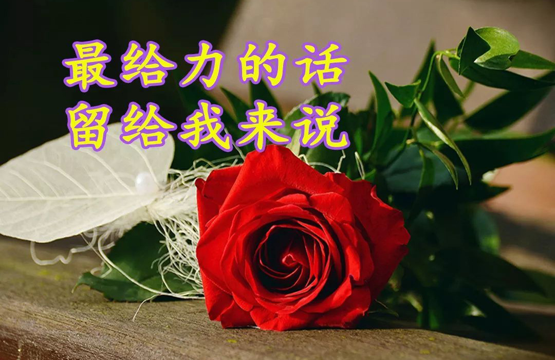 情人节到了，最给力的话留给我来说