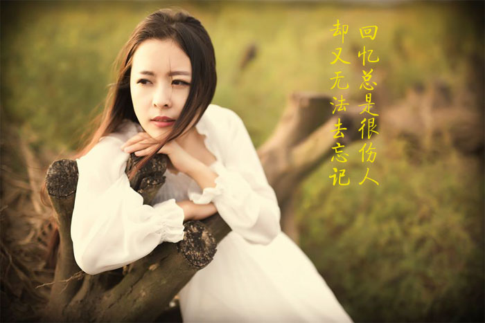 回忆总会很伤人，却又难以忘记那些过去