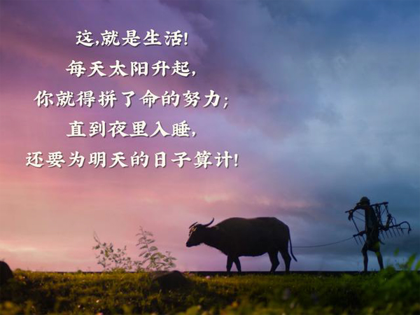 每天拼了命的努力，还要为明天的日子算计
