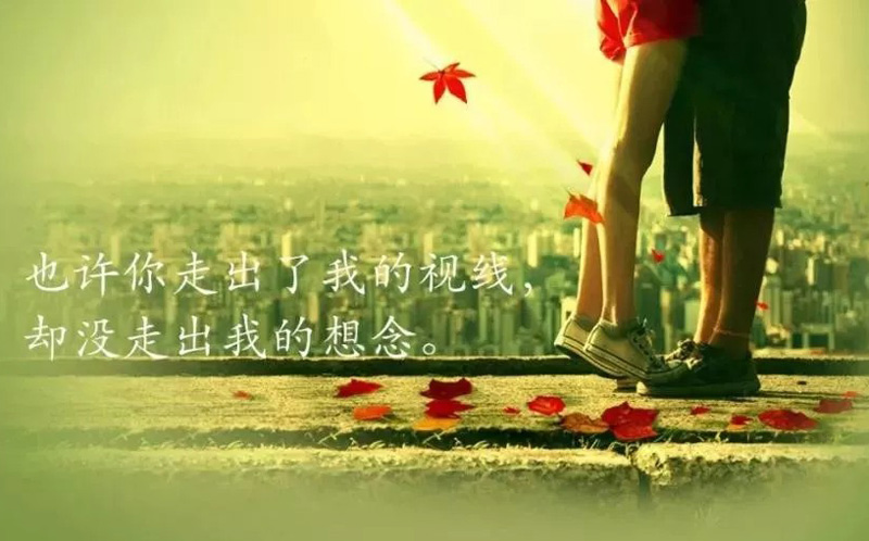 你走出了我的视线，却走不出我的思念