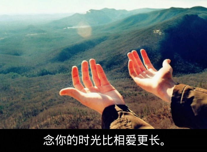 念你的时光比相爱更长