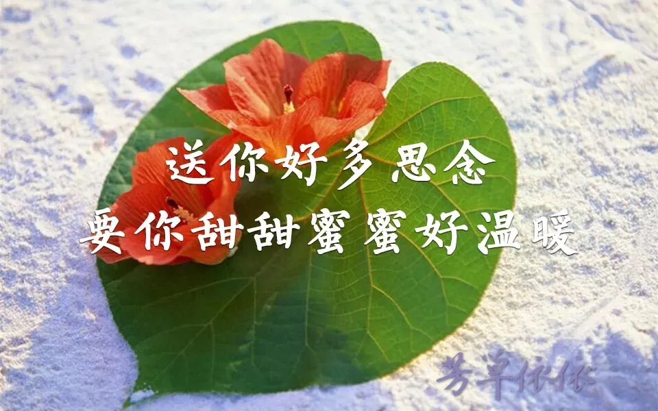 我想送你好多的思念，要你甜甜蜜蜜好温暖