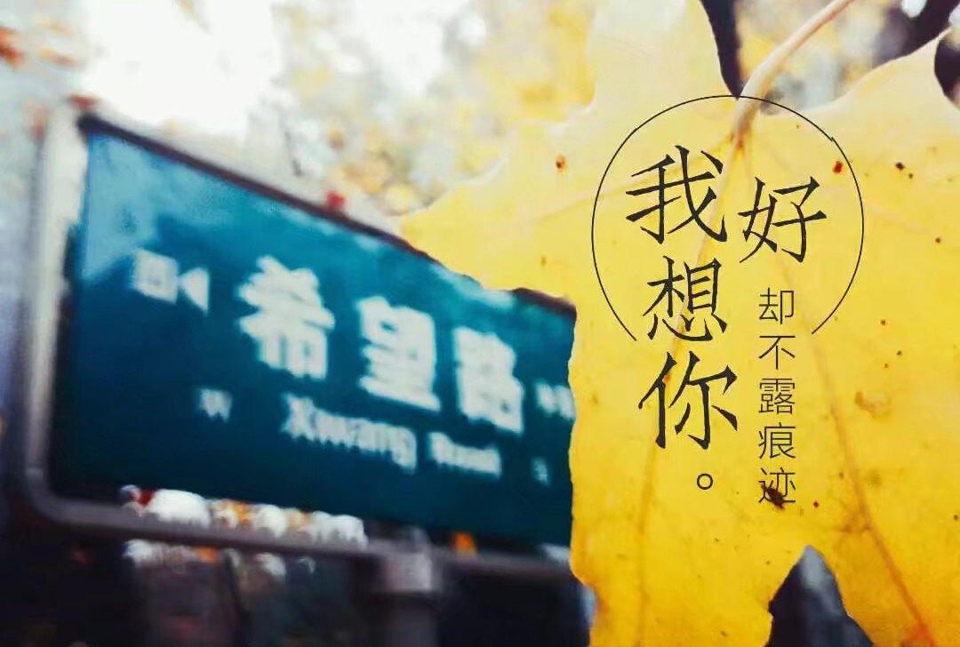 我好想你，却不露痕迹