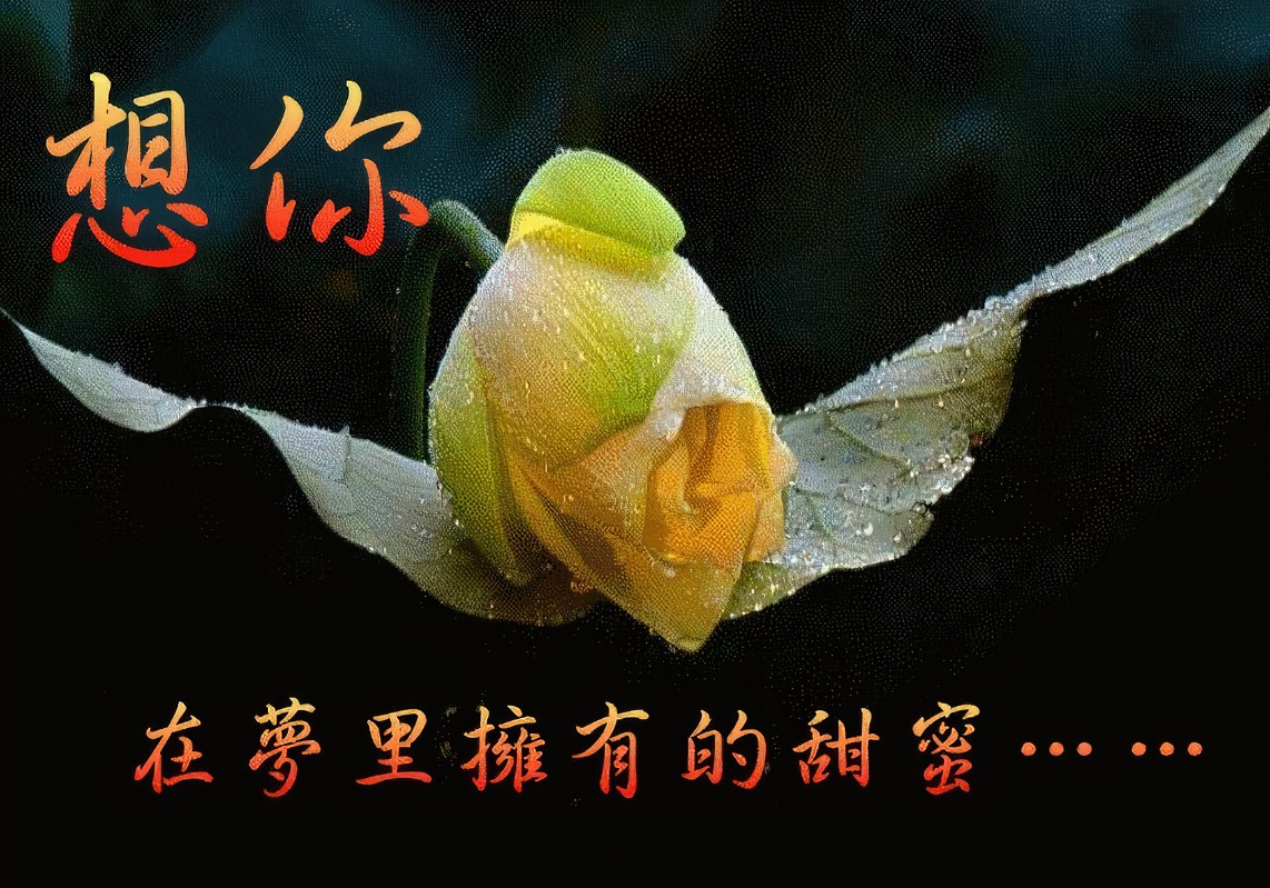 想你，在梦里拥有的甜蜜