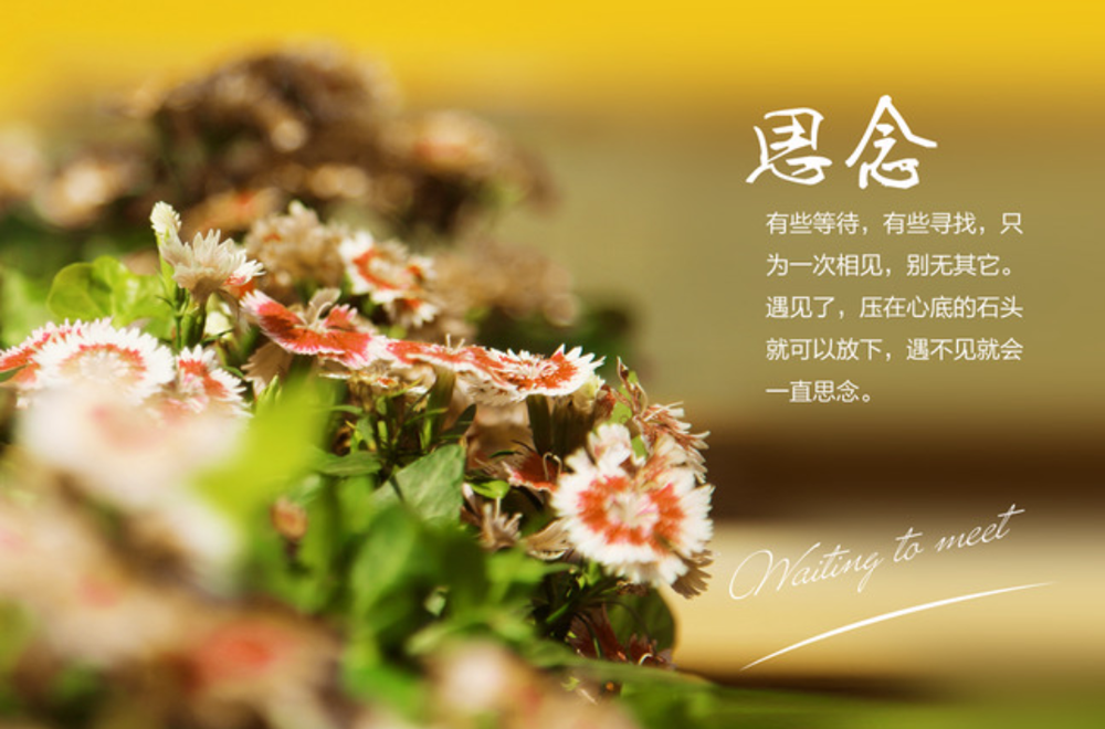 遇不见的人就会一直思念