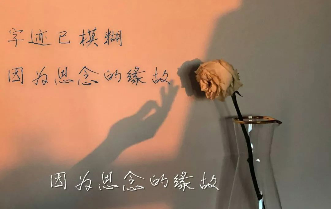 字迹已经模糊，只因太过思念你