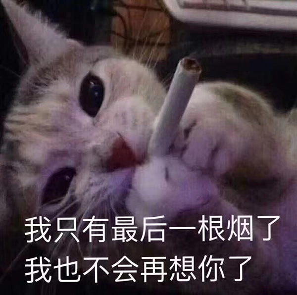 当我抽完最后一根烟时，再也不会想你了