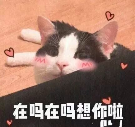 你在吗？我想你了