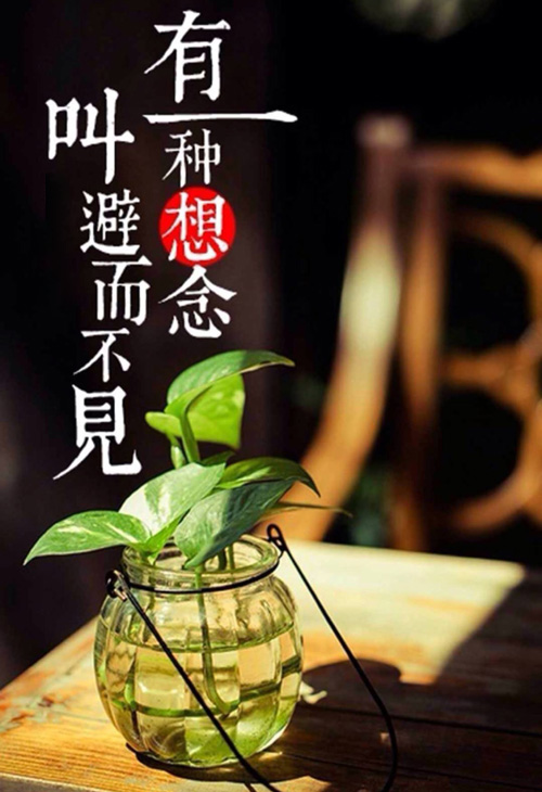 有一种想念叫着避而不见