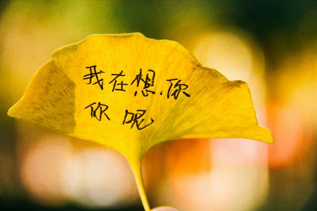 我在想你，你呢