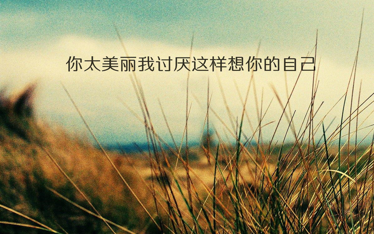 你太美丽，我讨厌这样想你的自己