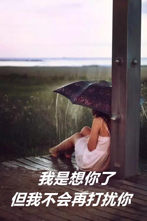 我承认我想你了，但是不会去打扰你
