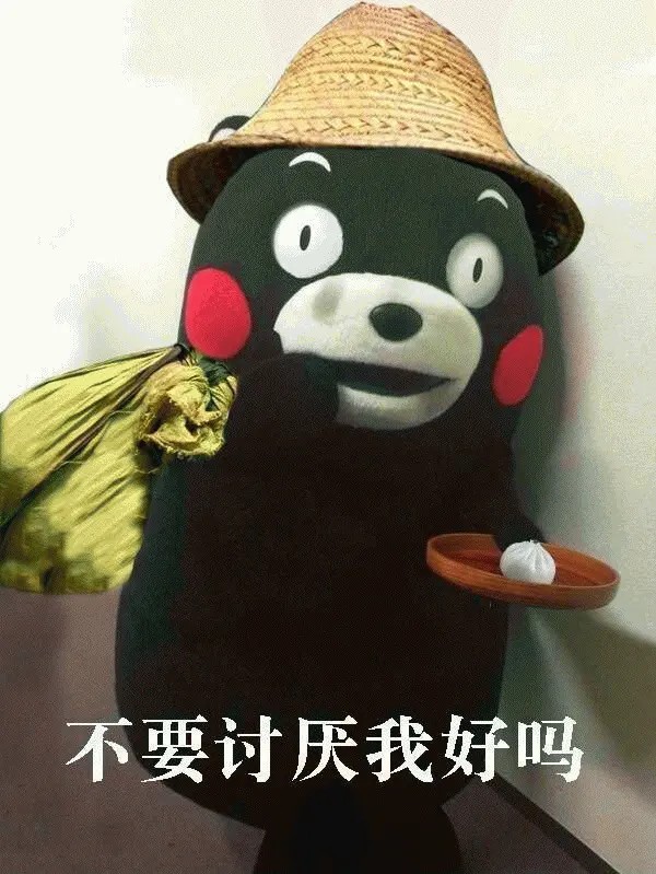 请你不要讨厌我，好吗