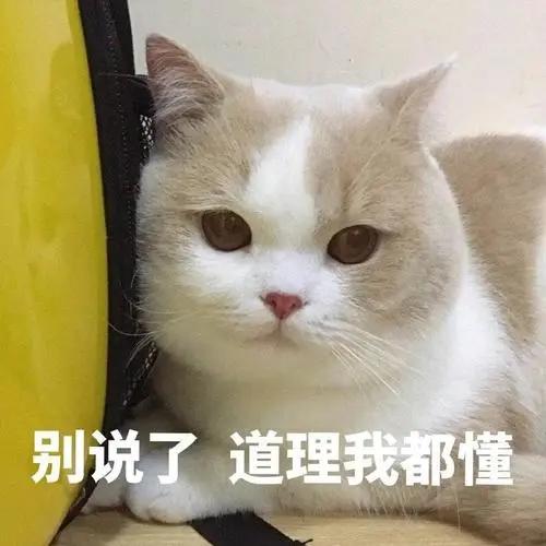 你别再说了，道理我都懂
