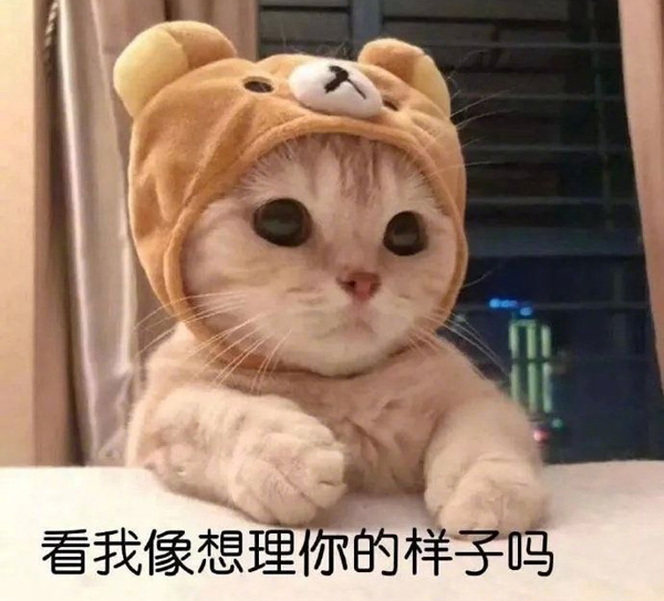 你看我像想理你的样子吗