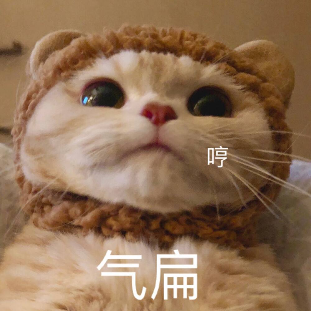 哼，我已经被你气扁了