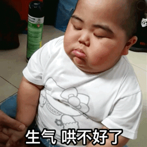 小胖子生气中，哄不好了