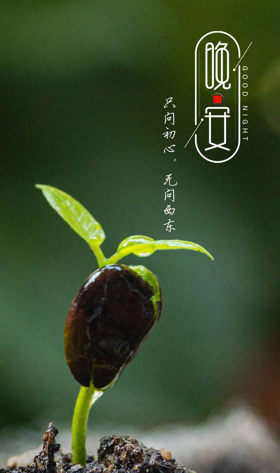 只问初心，无问西东，晚安