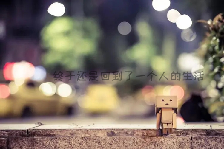终于还是回到了一个人的生活