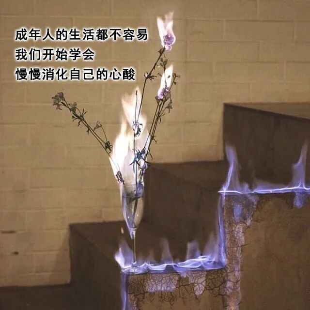 成年人的生活谁都不容易
