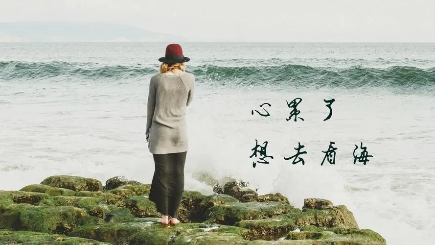 感觉有点心累了，很想去看看海