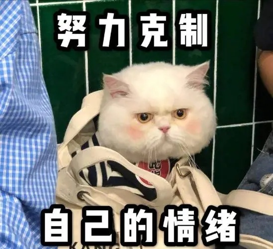 生活很无奈，我在努力克制自己的情绪