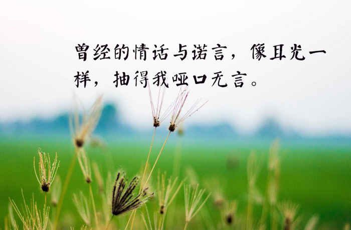 曾经的情话与诺言，像耳光一样，抽得我哑口无言