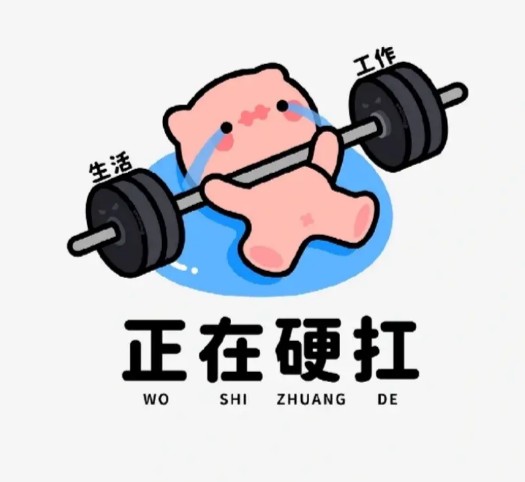 生活与工作压得我喘不过气，而我只能选择硬扛
