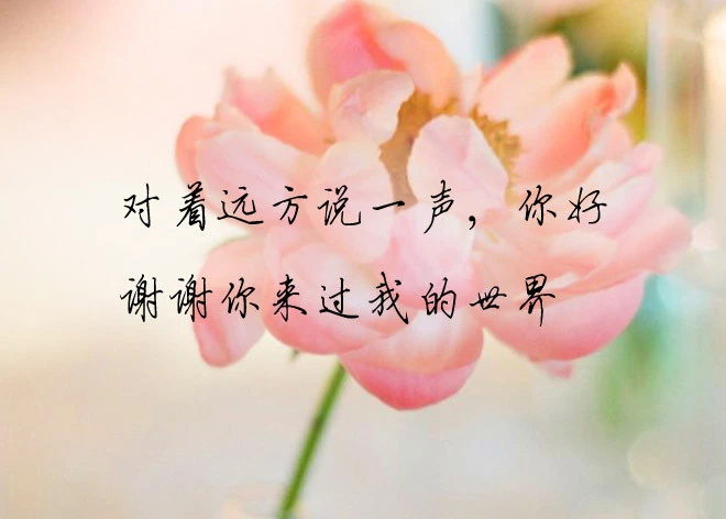 对着远方说一声“你好”，谢谢你来过我的世界