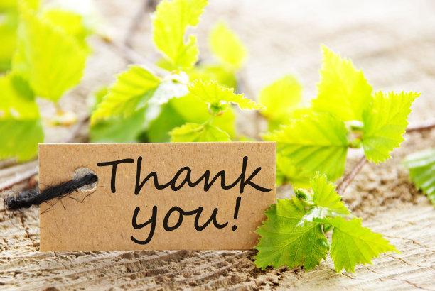 手写卡片表达谢意，THANK YOU