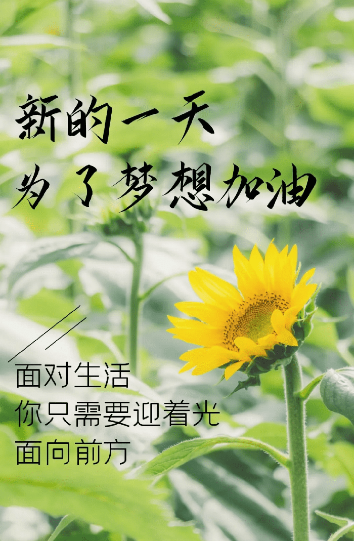 新的一天已经来临，为了梦想，加油吧