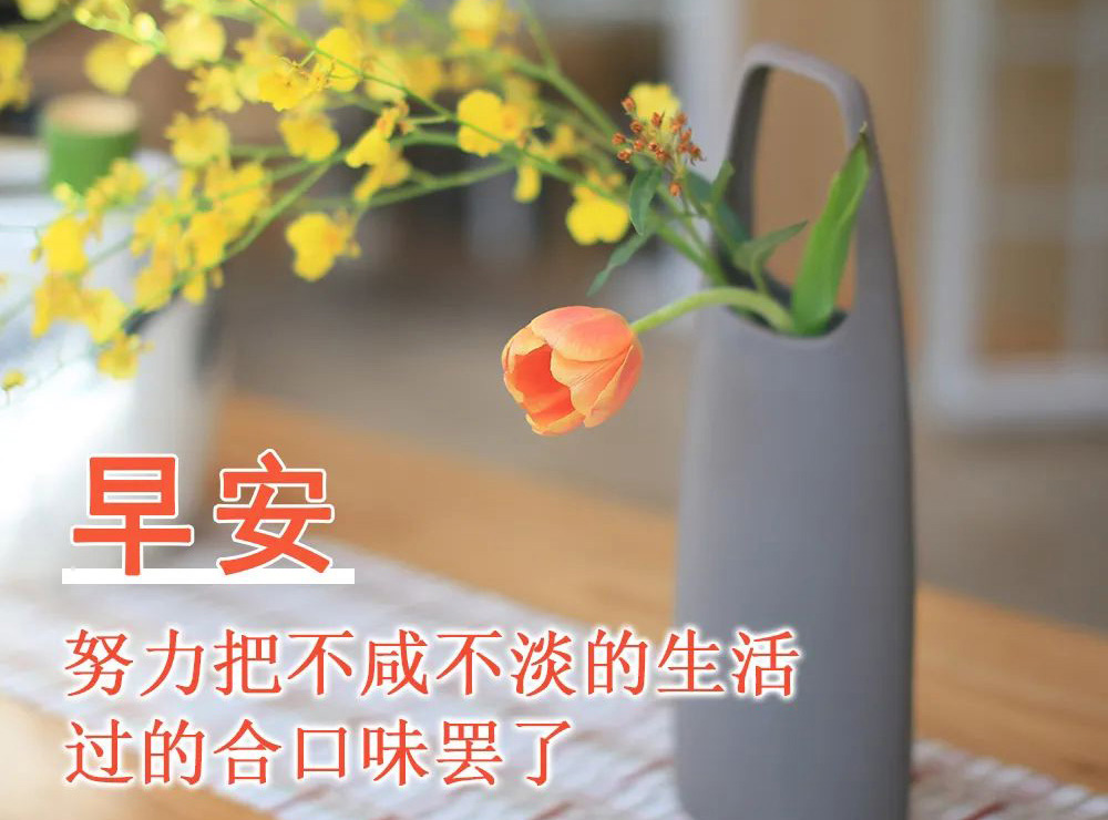 励志早安图片-努力把平淡的生活过成自己想要的
