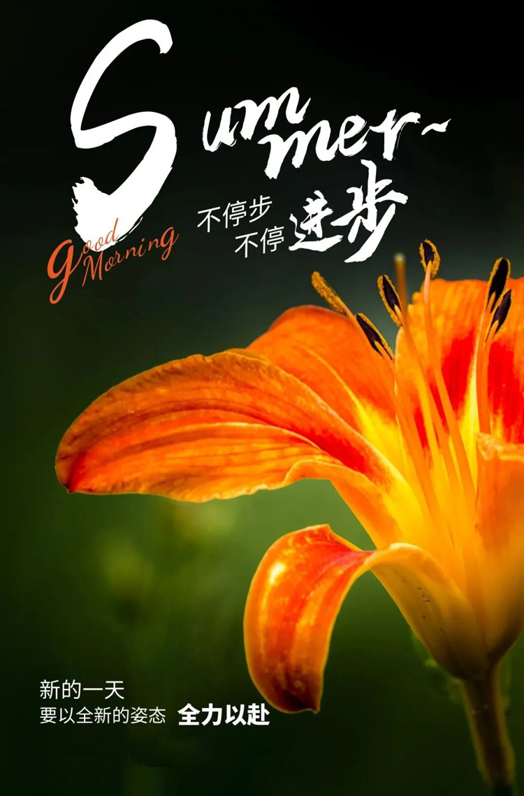 新的一天，我们要以全新的姿态全力以赴