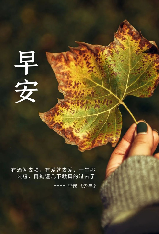 致早安少年-有酒就去喝，有爱就去爱