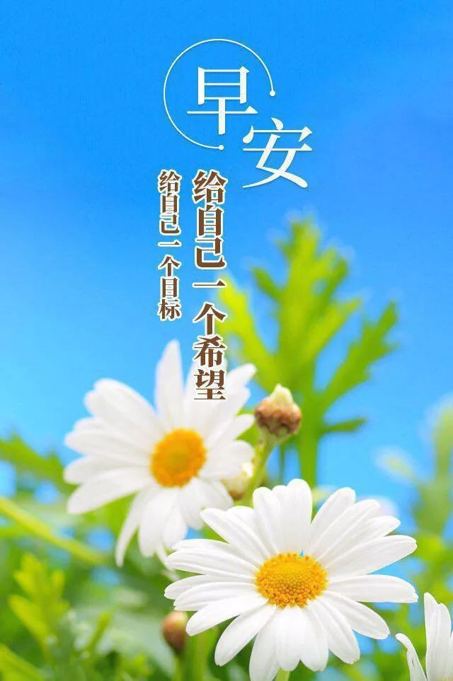 每天给自己一个希望，也给自己一个目标
