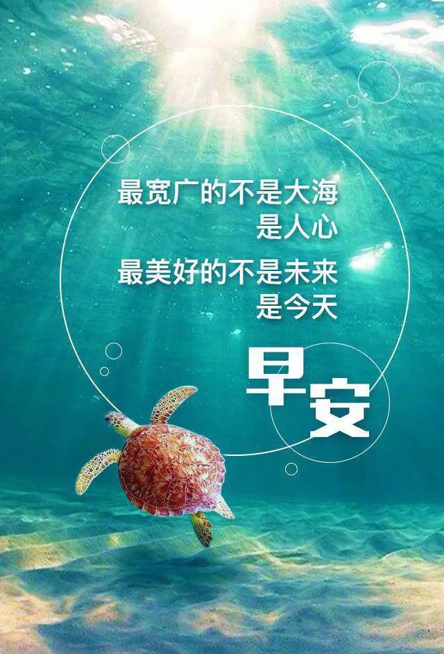 早上好的配图-最美好的不是未来，而是今天