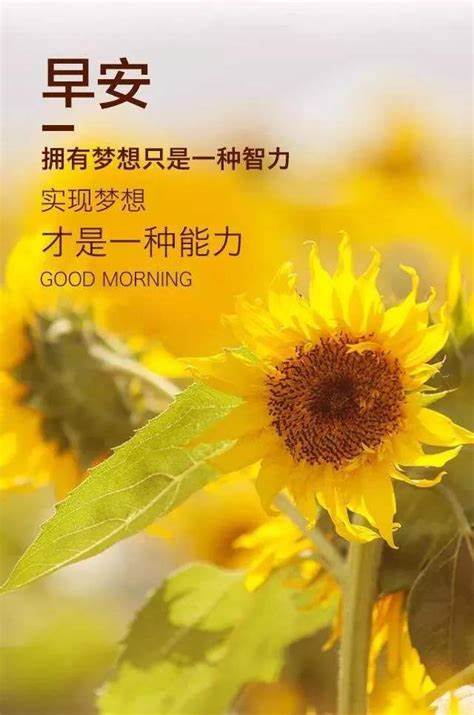 拥有梦想是一种智力，实现梦想才是一种能力
