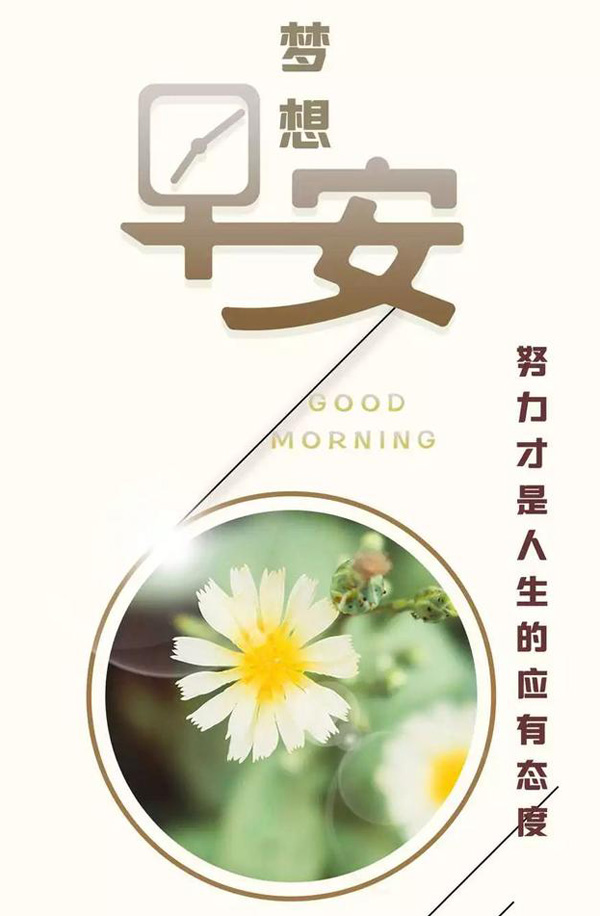 早安励志，努力才是人生应该有的态度