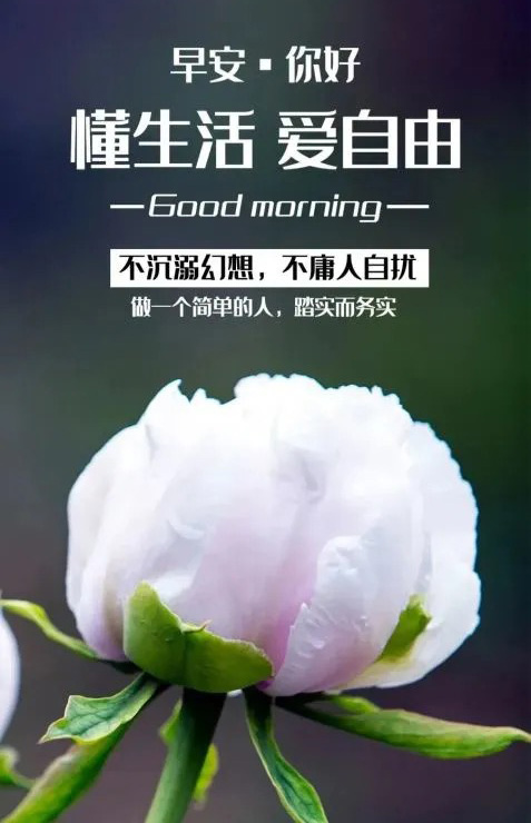 Good morning，做一个简单的人，踏实而务实