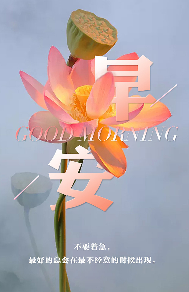 暖心的早安图片，最好的总会在不经意间出现