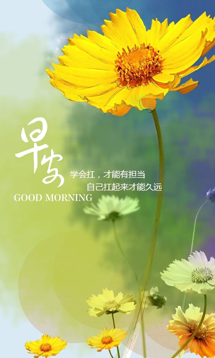 学会自己扛，才能有担当