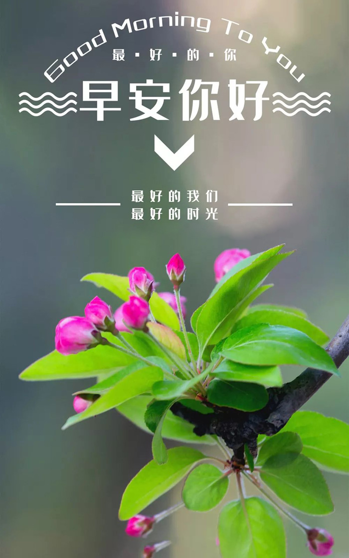 早安你好！最好的我们最美的时光